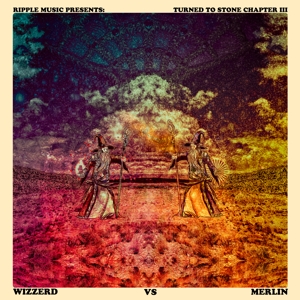 Chapter Iii: Wizzerd Vs Merlin by Turned To Stone