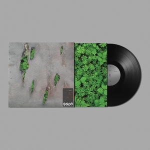 Agor by Koreless