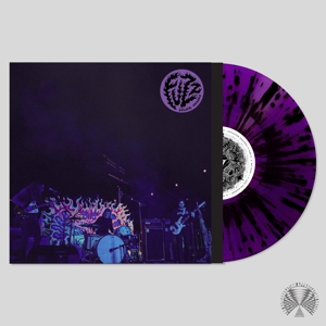 Levitation Sessions by Fuzz