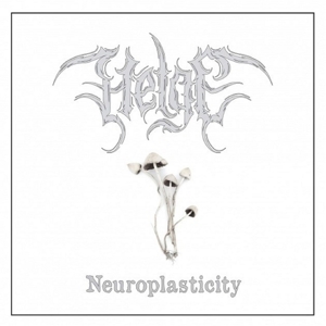 Neuroplasticity by Helge