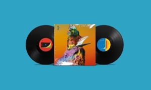 Palaces by Flume