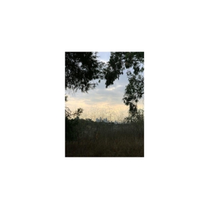 Arroyo by Porras, Jon