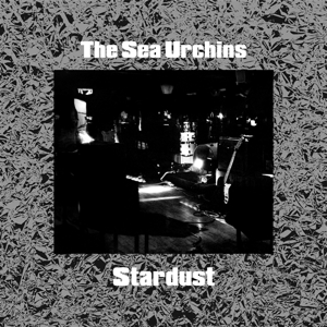 Stardust by Sea Urchins