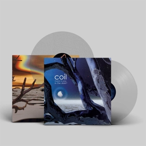 Musick To Play In the Dark 2 by Coil