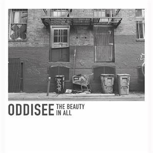 Beauty In All by Oddisee
