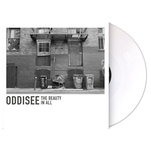 Beauty In All by Oddisee