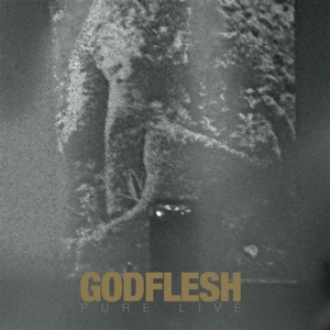 Pure: Live by Godflesh