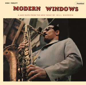 Modern Windows by Barron, Bill