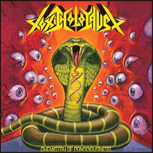 Chemistry of Consciousness by Toxic Holocaust