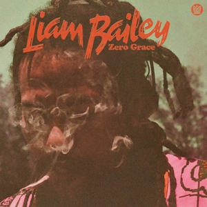 Zero Grace by Bailey, Liam