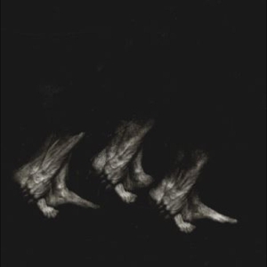 Procession by Leonov