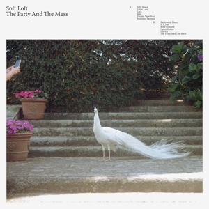 Party and the Mess by Soft Loft