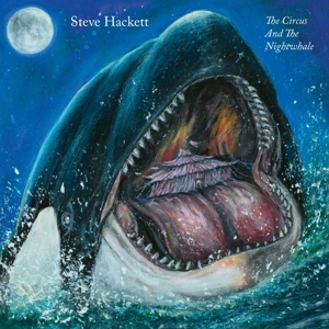 Circus and the Nightwhale by Hackett, Steve