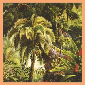 La Foret by Xiu Xiu