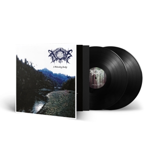 A Misleading Reality by Xasthur