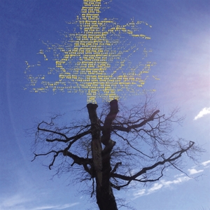 Rooting For Love by Sadier, Laetitia