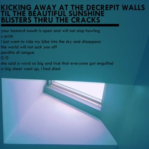 Kicking Away At the Decrepit Walls Til the Beautiful by Mxlx