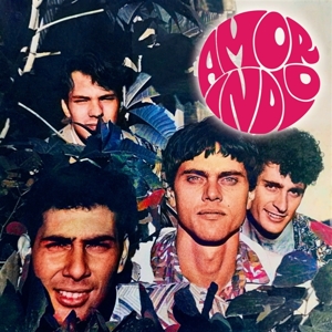 Amor Indio by Amor Indio