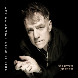 This is What I Want To Say by Joseph, Martyn