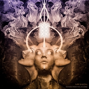 Echoes From the Universe by Mr. Bison