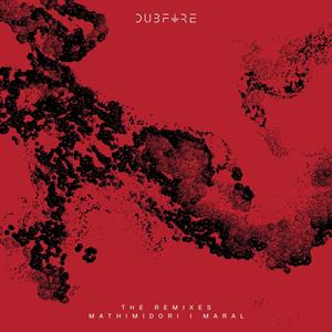 Evolv by Dubfire