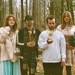 No by Tomato Flower