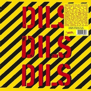 Dils Dils Dils by Dils, the