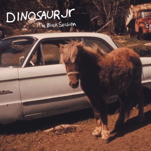 Black Session by Dinosaur Jr.