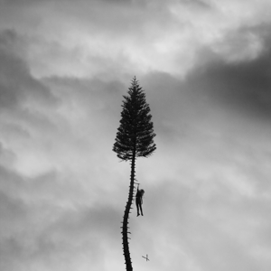 A Black Mile To the Surface by Manchester Orchestra