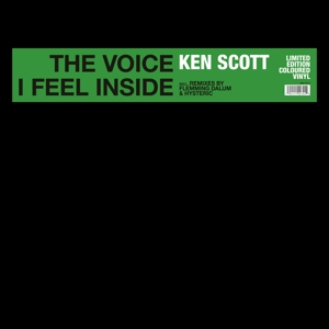 Voice I Feel Inside