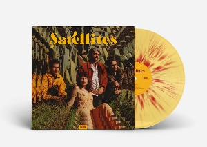 Satellites by Satellites