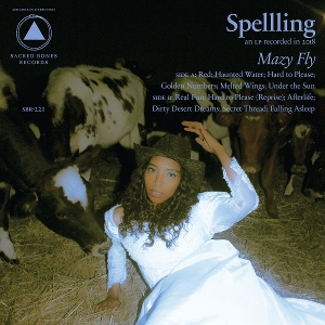 Mazy Fly by Spellling