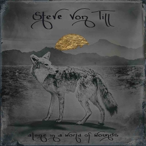 Alone In a World of Wounds by Von Till, Steve