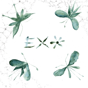 Exo by Exo