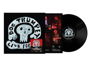 Live Forever by Dog Trumpet
