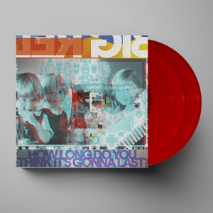 How Long Do You Think It's Gonna Last? by Big Red Machine