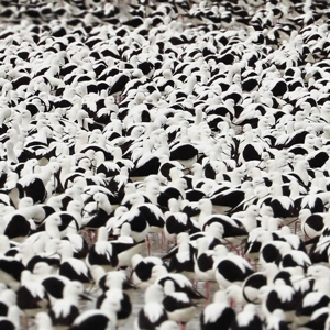 Flood by Donnelly, Stella