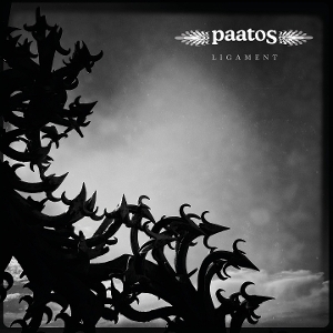 Ligament by Paatos