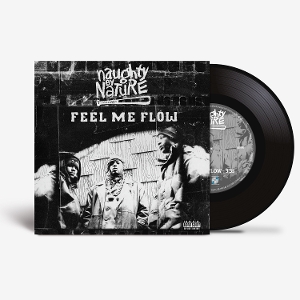 7-Feel Me Flow by Naughty By Nature