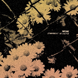Strangers At Home by Weak