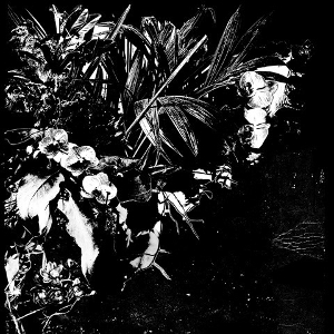 Orchid Alto by Mertens, Jeff