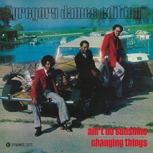 7-Aint No Sunshine