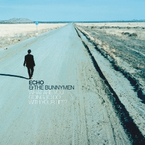 What Are You Going To Do With Your Life ? by Echo and the Bunnymen