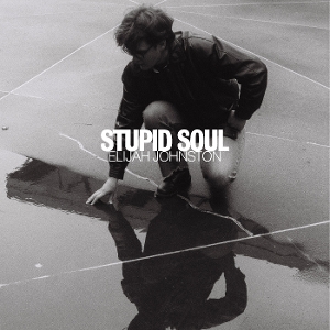 Stupid Soul by Johnston, Elijah