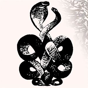 Volume 4 & 5 by Pond, Bardo