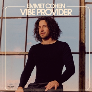 Vibe Provider by Cohen, Emmet
