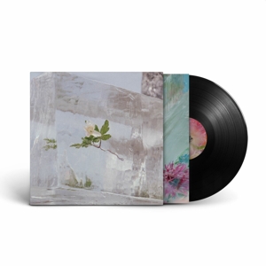 Windflowers by Efterklang