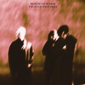 Vicious Pastimes by House of Harm