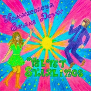 Technicolour Shakedown by Velvet Starlings