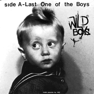Last One of the Boys by Wild Boys